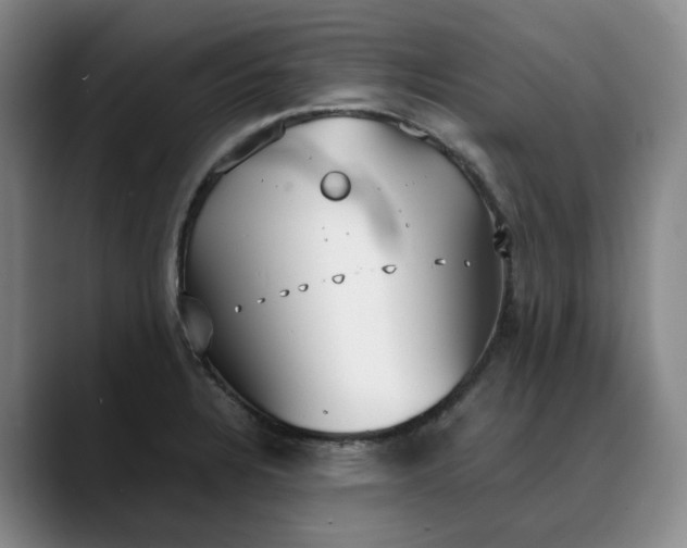 X0000088681328200706141347