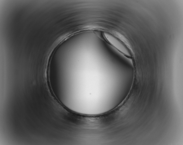 X0000088681330200706141347