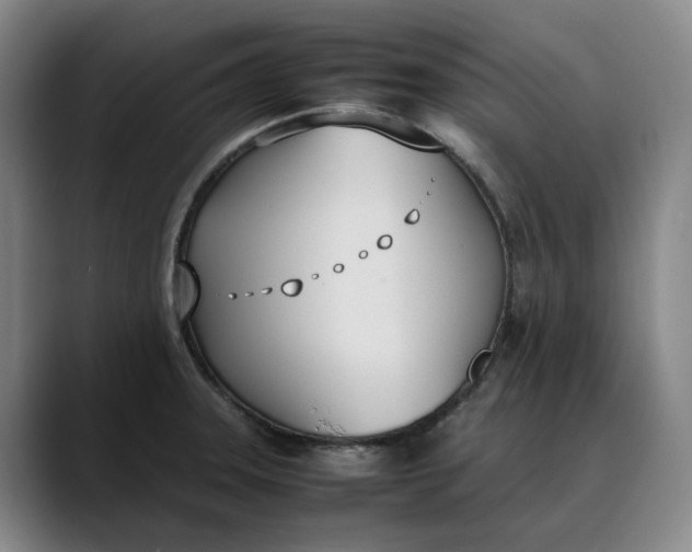 X0000088681331200706141347