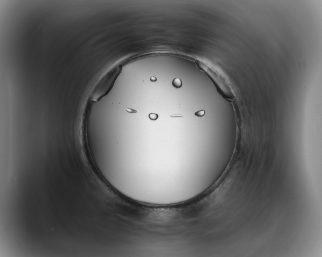 X0000088681333200706141347