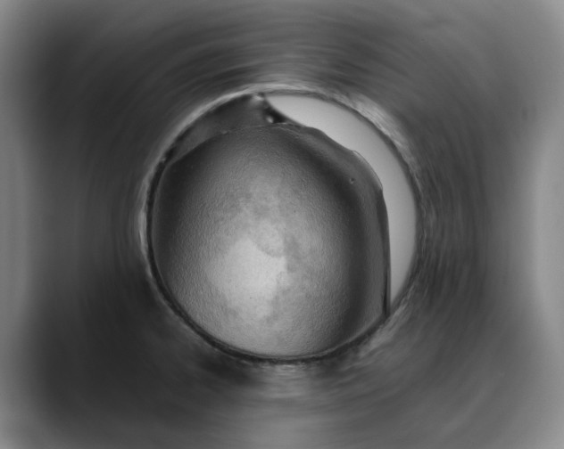 X0000088681334200706141347