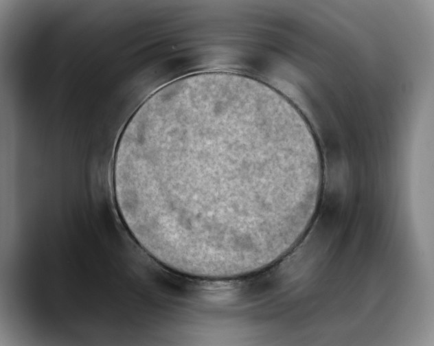 X0000088681338200706141347