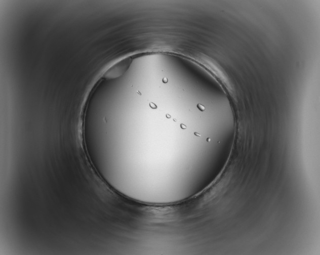 X0000088681340200706141347
