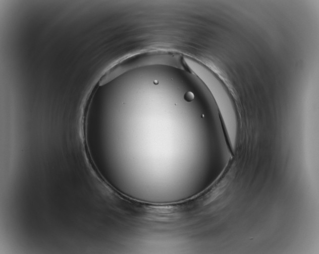 X0000088681342200706141347