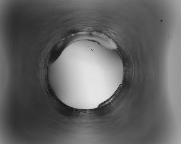 X0000088681345200706141347