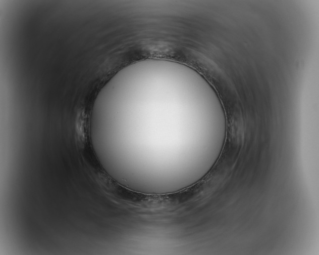 X0000088681346200706141347