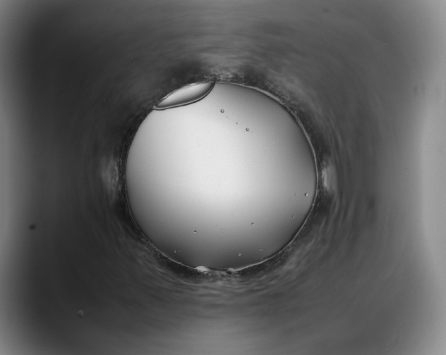 X0000088681347200706141347