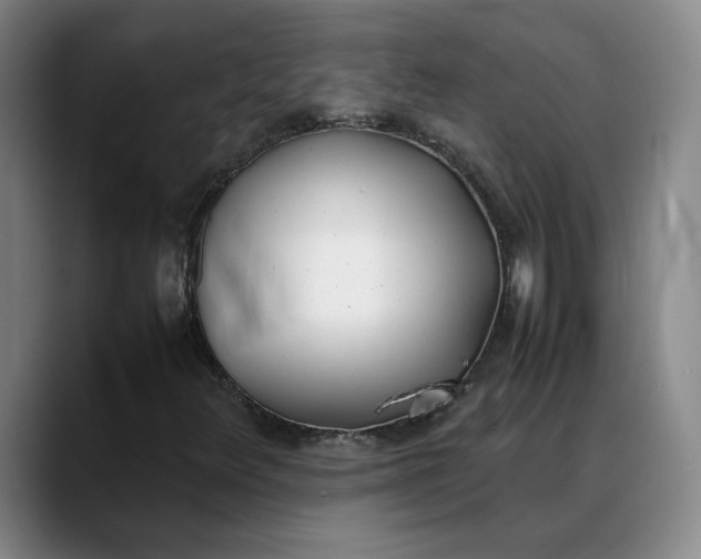 X0000088681348200706141347