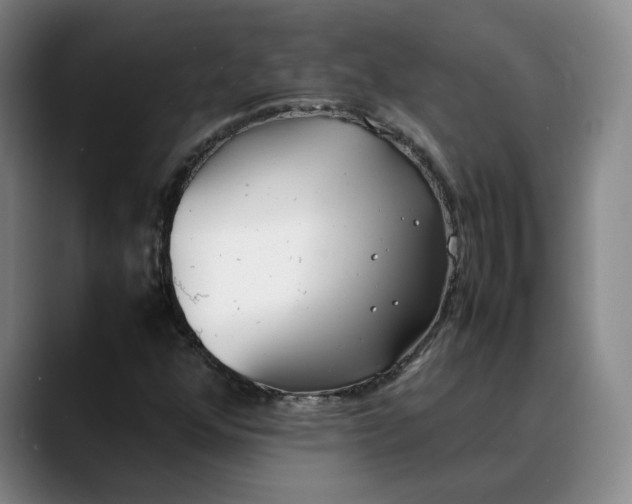 X0000088681352200706141347