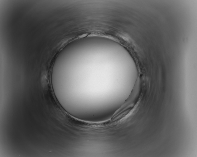X0000088681353200706141347