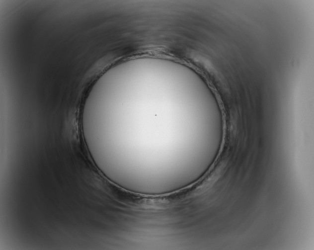 X0000088681354200706141347