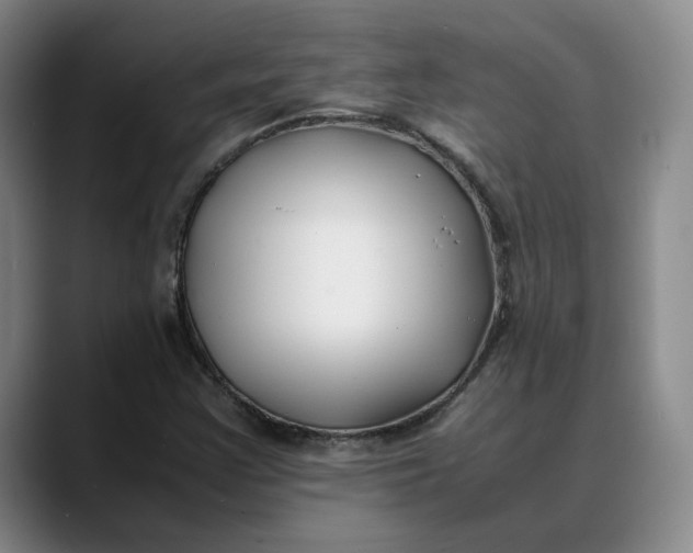 X0000088681355200706141347