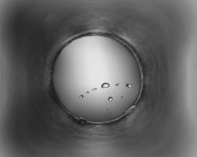 X0000088681359200706141347