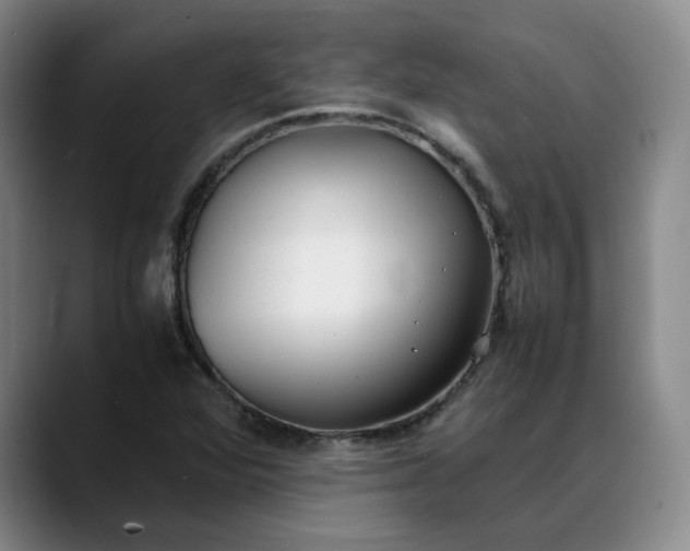 X0000088681360200706141347