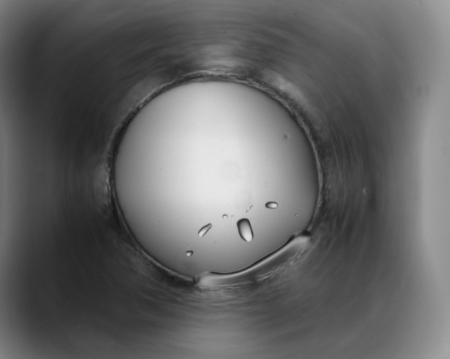 X0000088681362200706141347