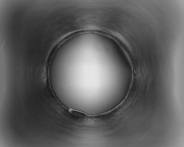 X0000088681364200706141347