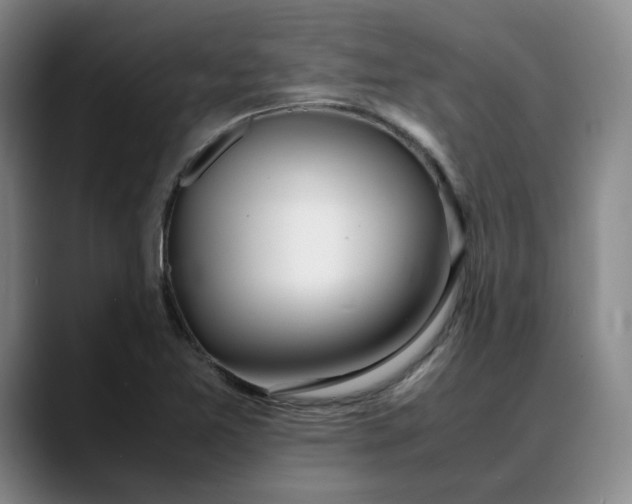 X0000088681365200706141347