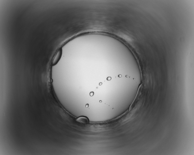 X0000088681366200706141347