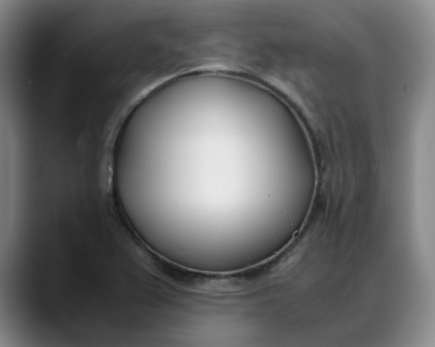 X0000088681367200706141347