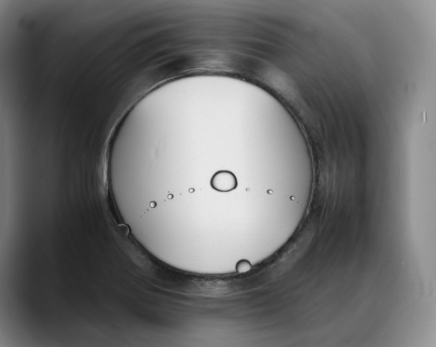 X0000088681370200706141347