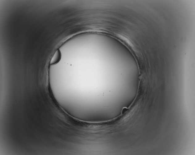 X0000088681371200706141347