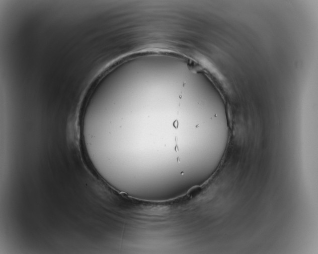 X0000088681372200706141346