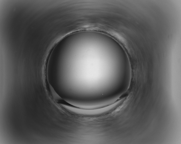 X0000088681373200706141346