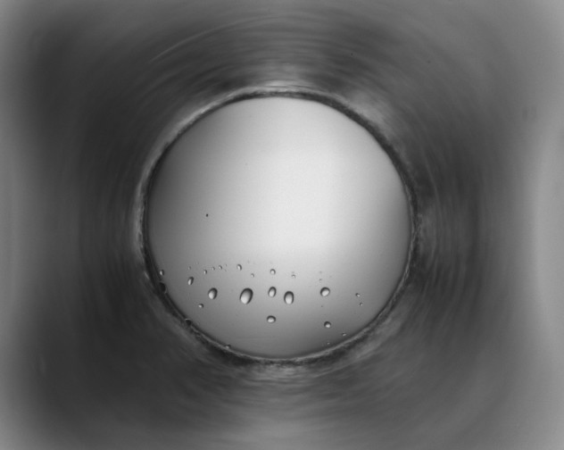 X0000088681374200706141346