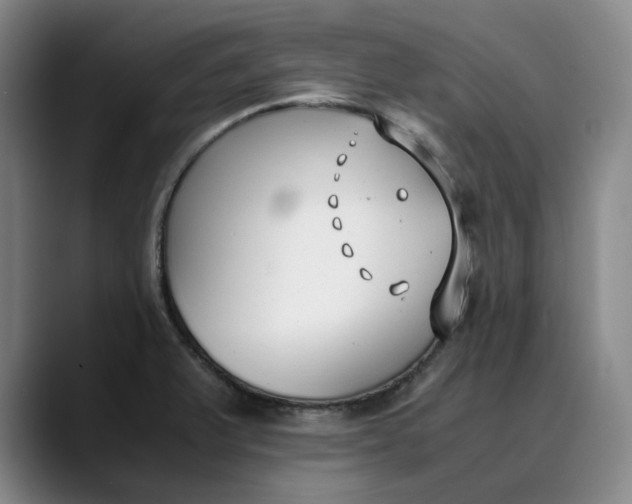 X0000088681375200706141346