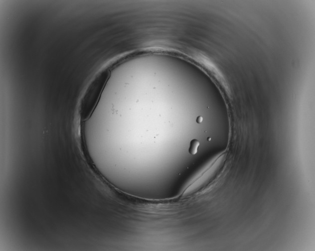 X0000088681376200706141346