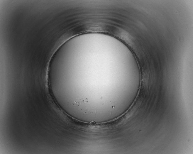X0000088681378200706141346