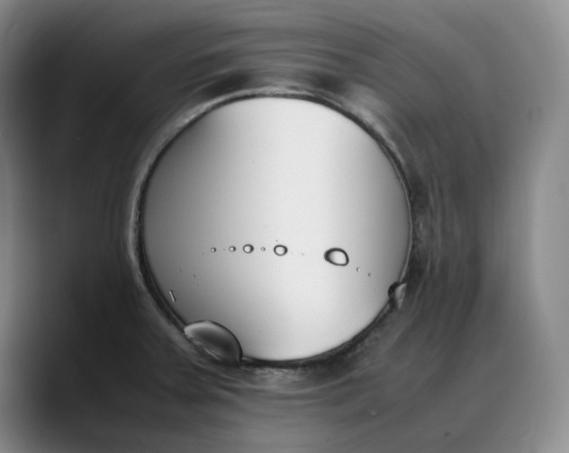X0000088681379200706141346