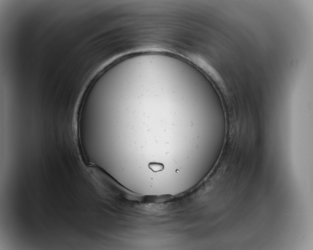 X0000088681380200706141346