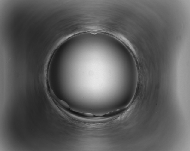 X0000088681381200706141346
