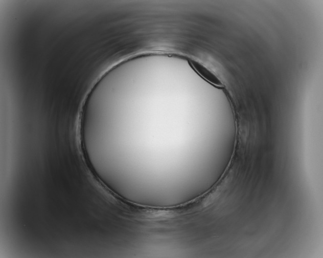 X0000088681382200706141346