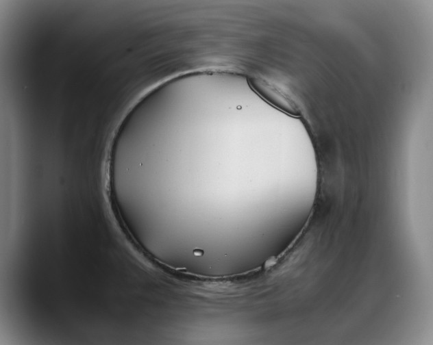 X0000088681383200706141346