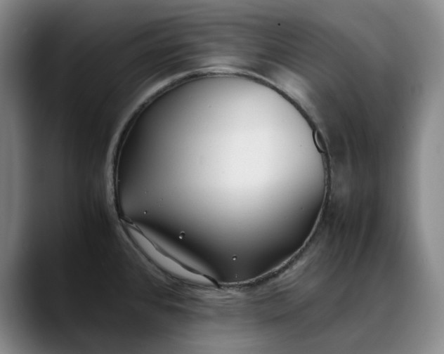 X0000088681384200706141346