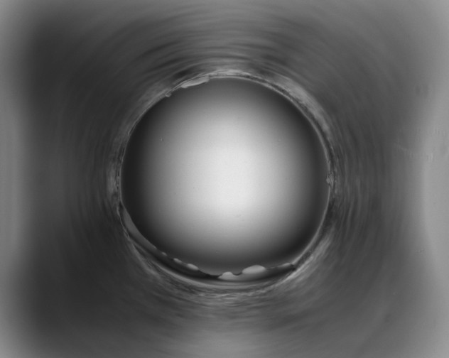 X0000088681385200706141346