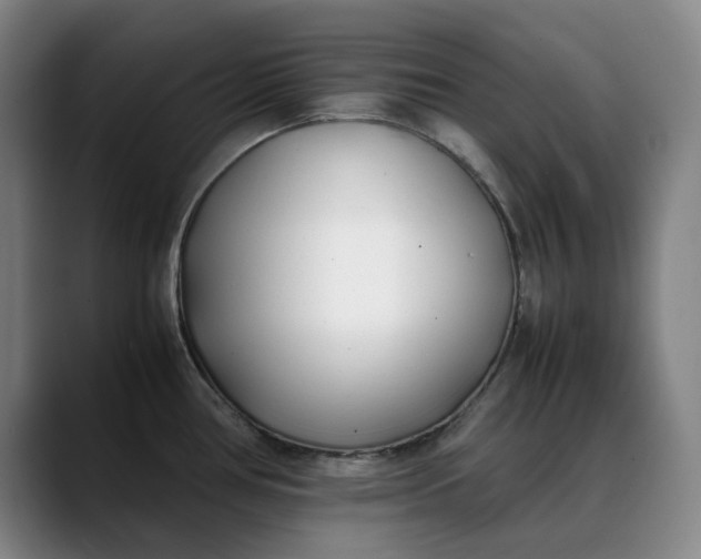 X0000088681386200706141346