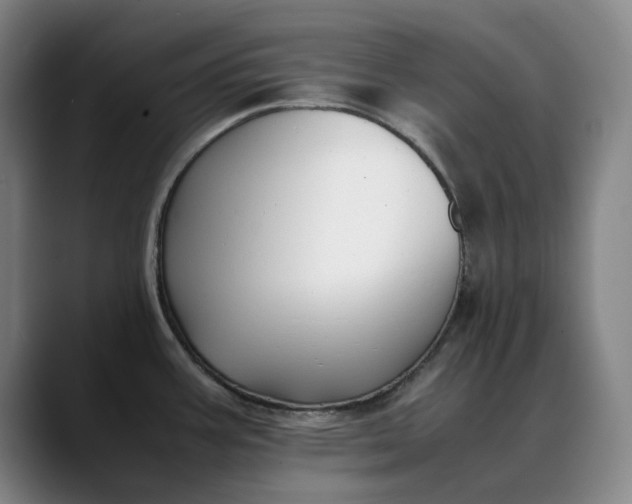 X0000088681387200706141346