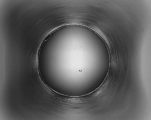 X0000088681388200706141346