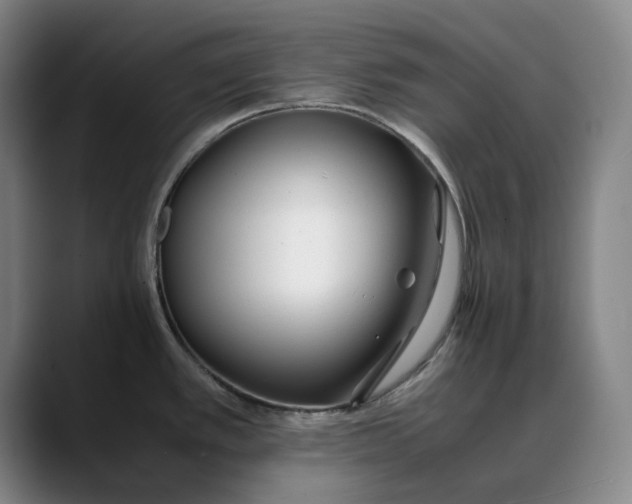 X0000088681389200706141346