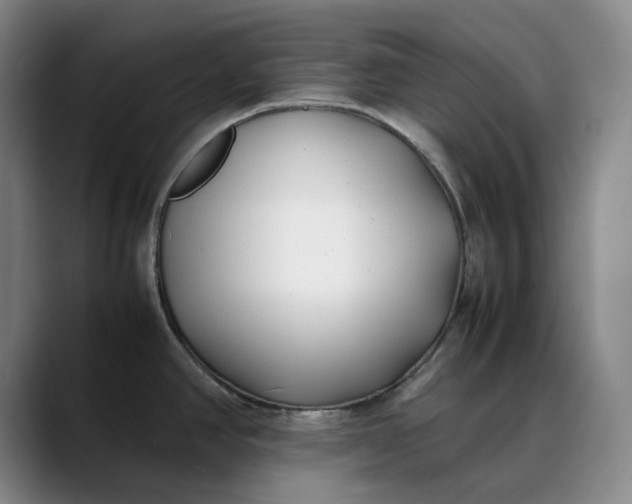 X0000088681390200706141346