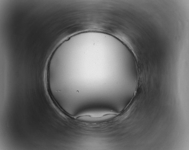 X0000088681391200706141346