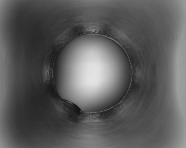 X0000088681394200706141346