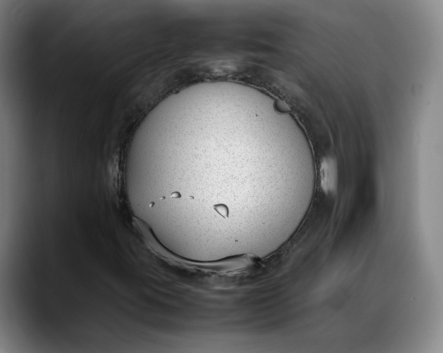 X0000088681395200706141346