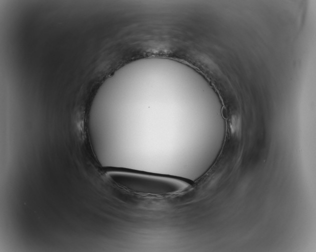 X0000088681396200706141346