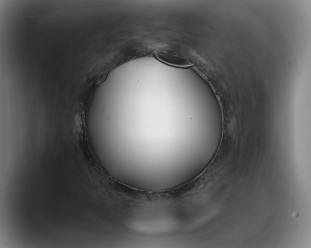X0000088681397200706141346