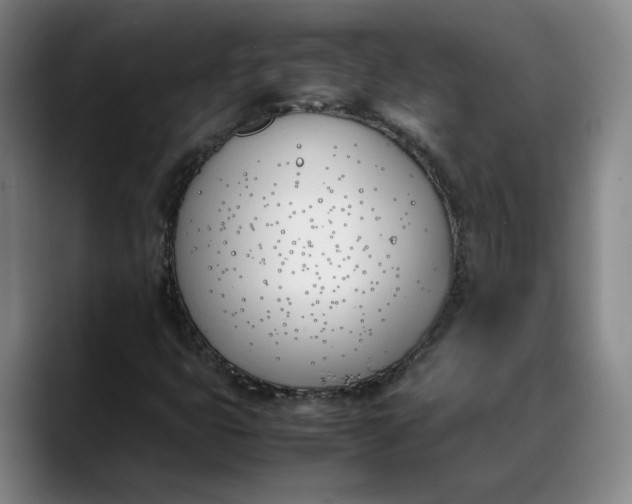 X0000088681399200706141346