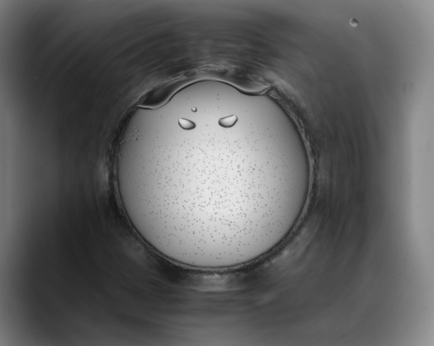 X0000088681401200706141346